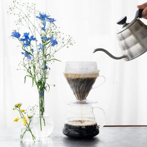 V60 Drip-Assist (1)